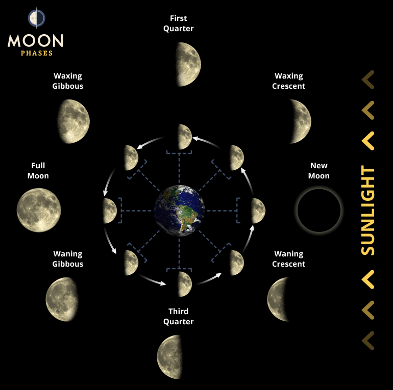 Lunar Phases